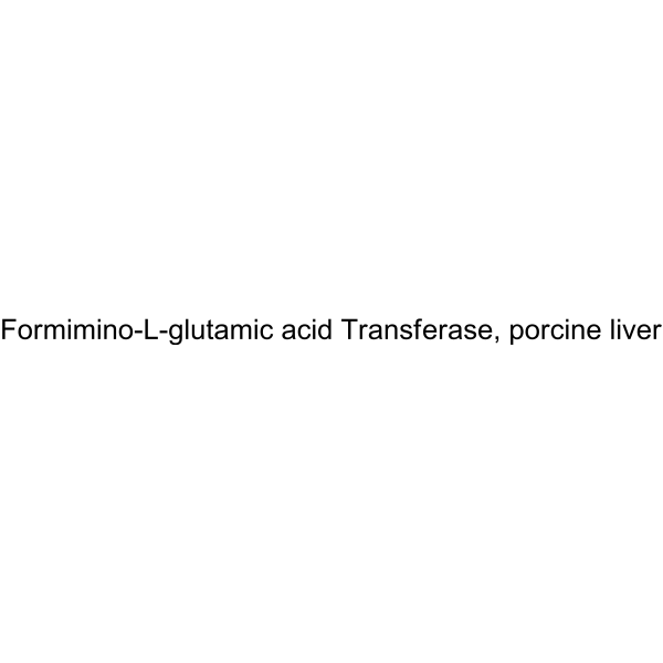 Formimino-L-glutamic acid Transferase, porcine liver 9032-83-1